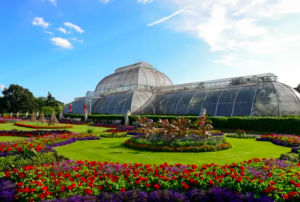 Kew Gardens Admission Ticket
