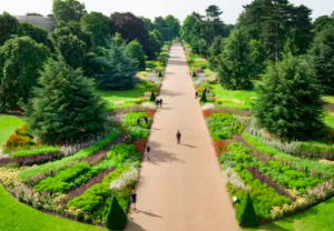 Kew Gardens Admission Ticket
